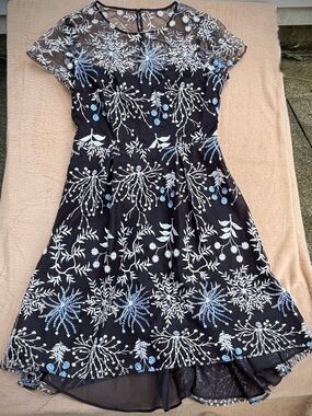Adrianna Papell Ethereal Floral Embroidered Fit & Flare Dress size 4